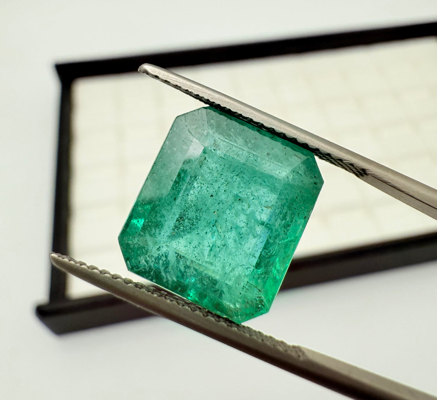 Emerald Zambia 13x11.5mm