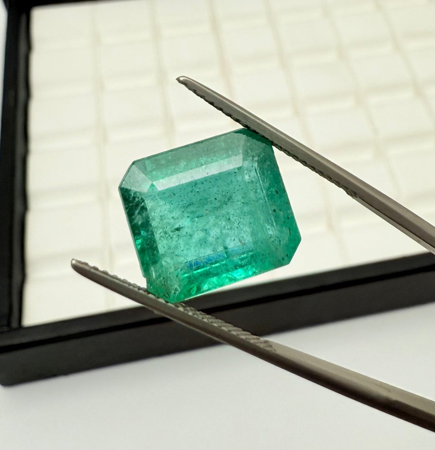 Emerald Zambia 13x11.5mm