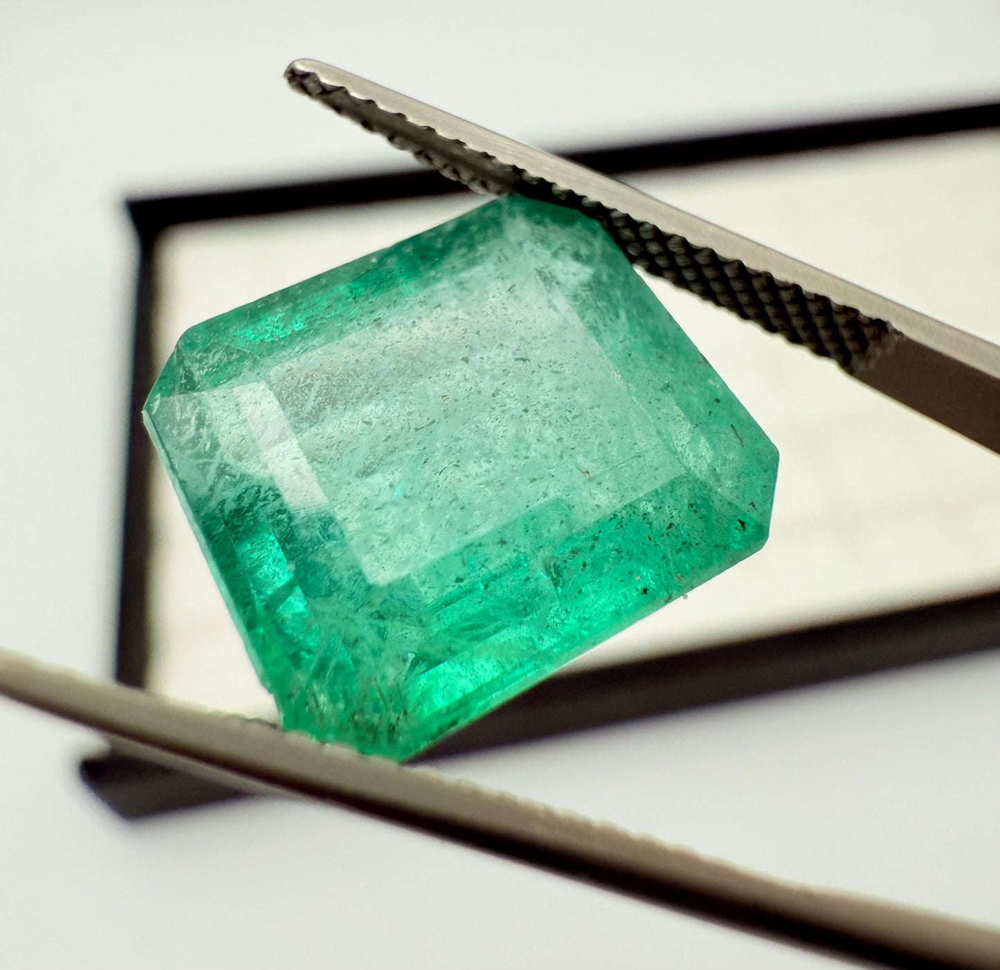 Emerald Zambia 13x11.5mm