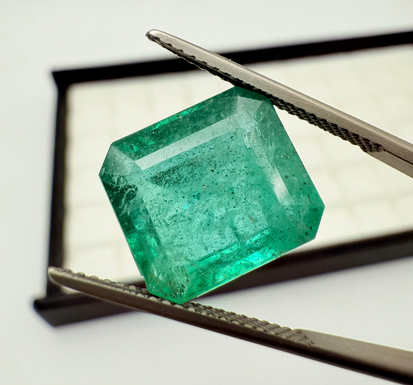 Emerald Zambia 13x11.5mm