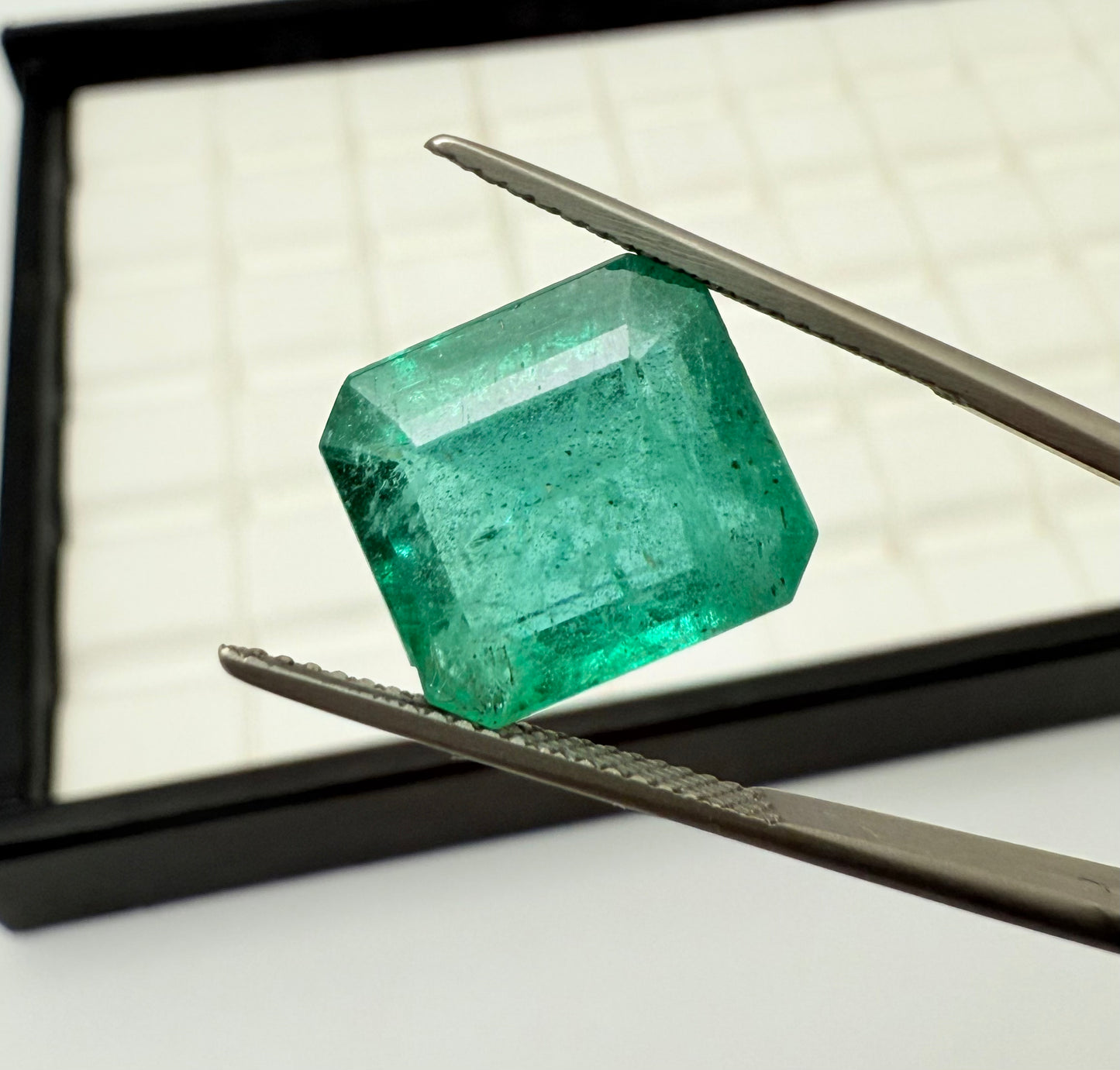 Emerald Zambia 13x11.5mm