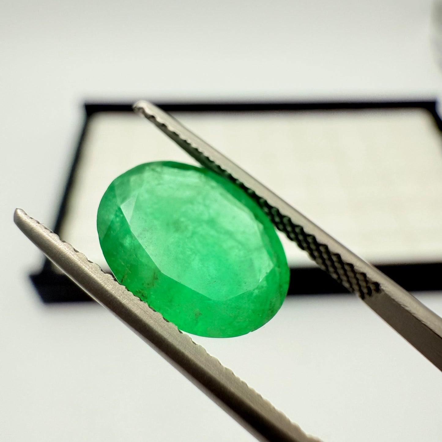 Emerald Zambia 11.5x8.5mm